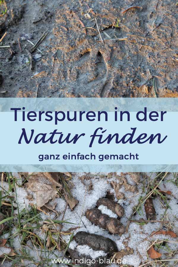 Rätsel Tierspuren - Tierspuren Gratis Biologie Lernplakat Wissens Poster 8500 Kostenlose Lernhilfen Allgemeinbildung Ch