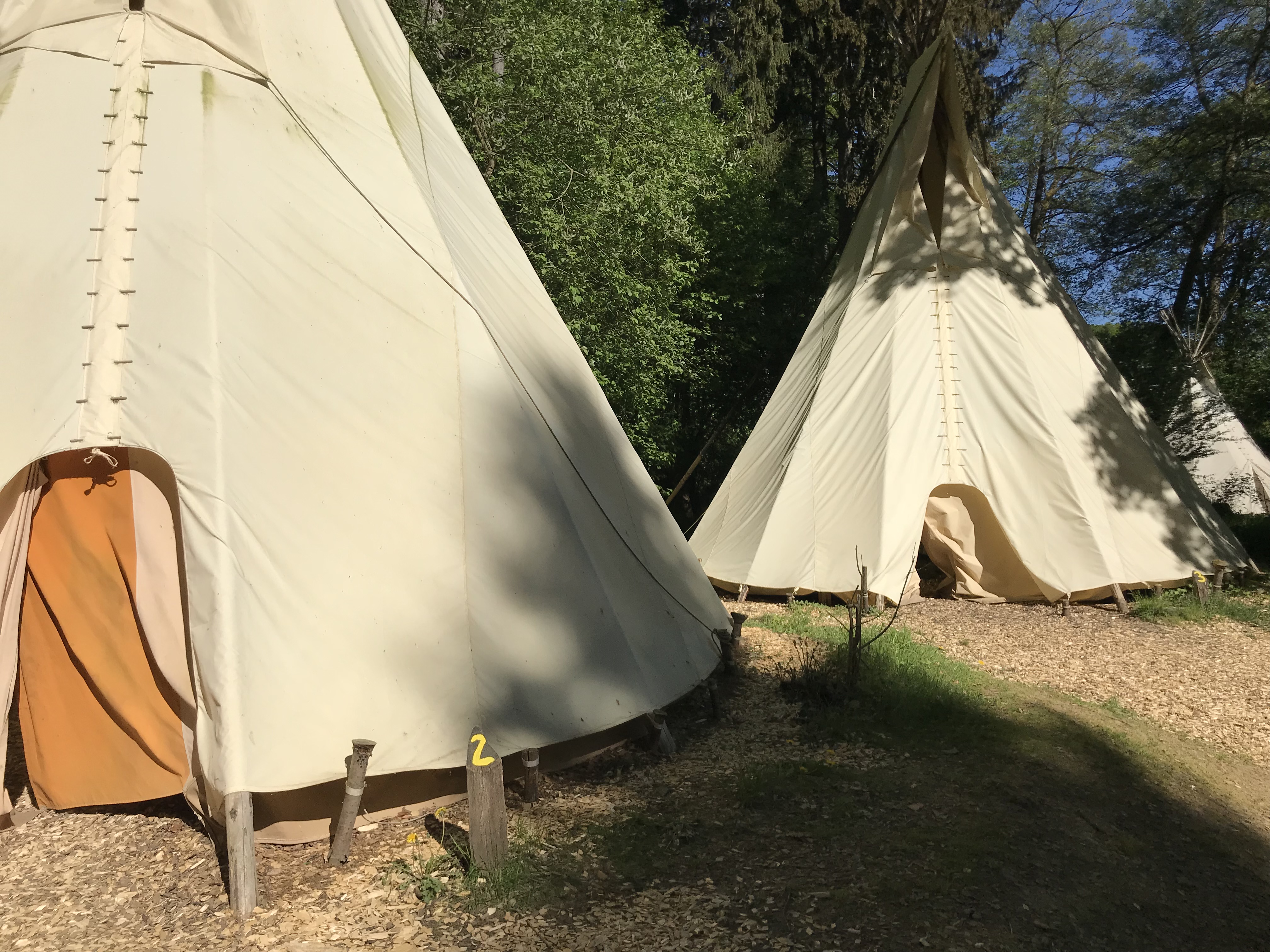 Wald-Abenteuer im hessischen Outdoorzentrum Lahntal