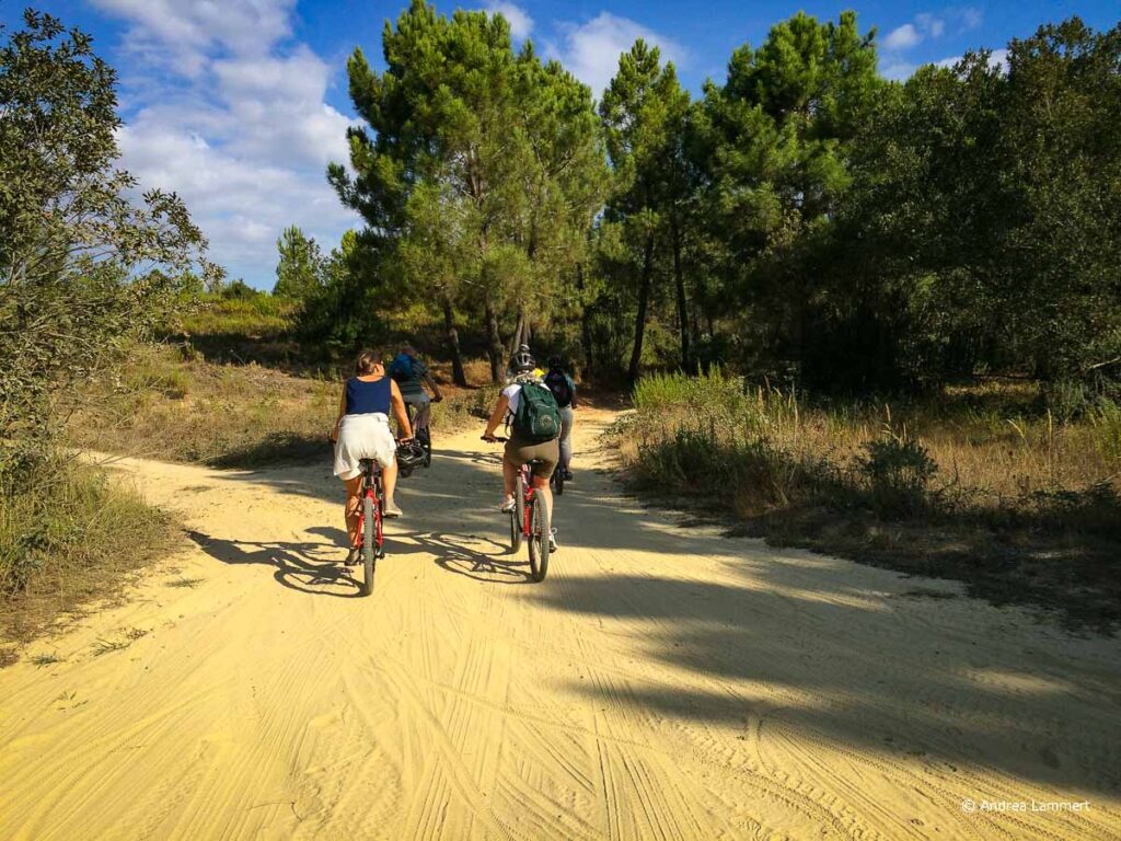 Korsika Tipps Ghisonaccia