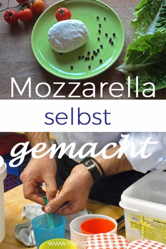 Mozzarella selbstgemacht Rezept