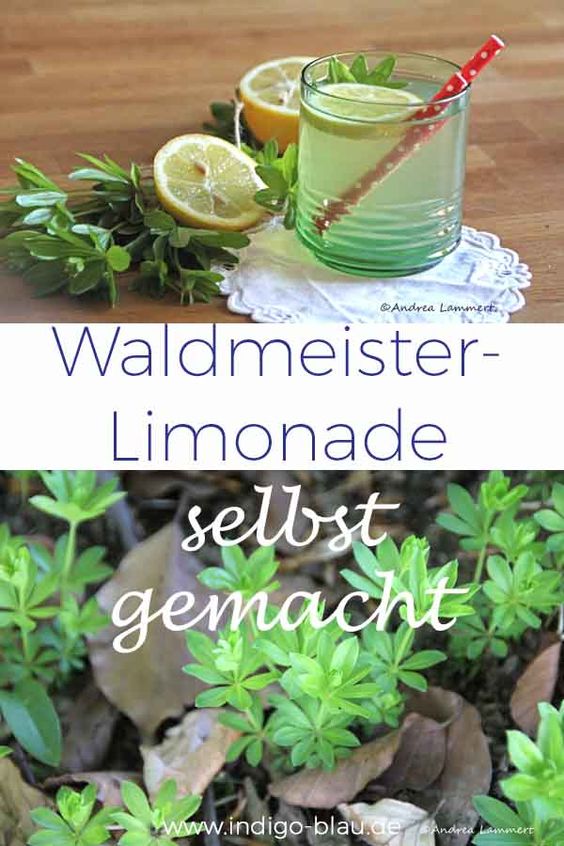Waldmeister-Limonade, Waldmeister-Sirup, Rezept