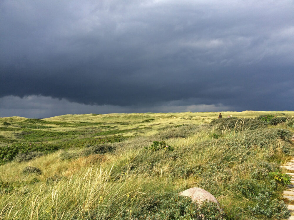 Limfjord, Tipps für Familien, Tyboron, Agger Tange