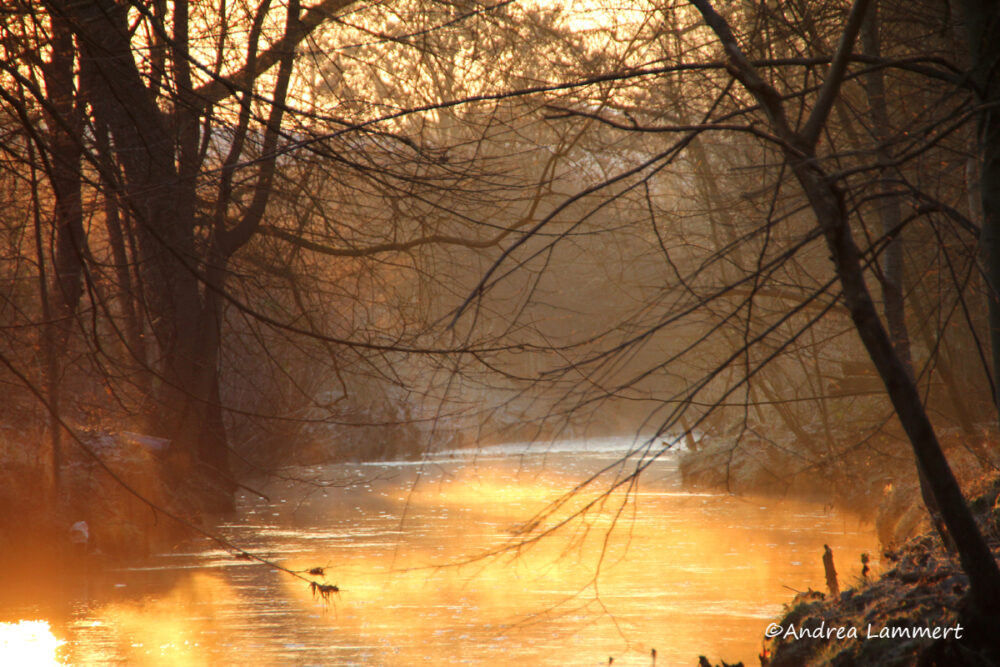 Soltau, ein Morgen in der Heide