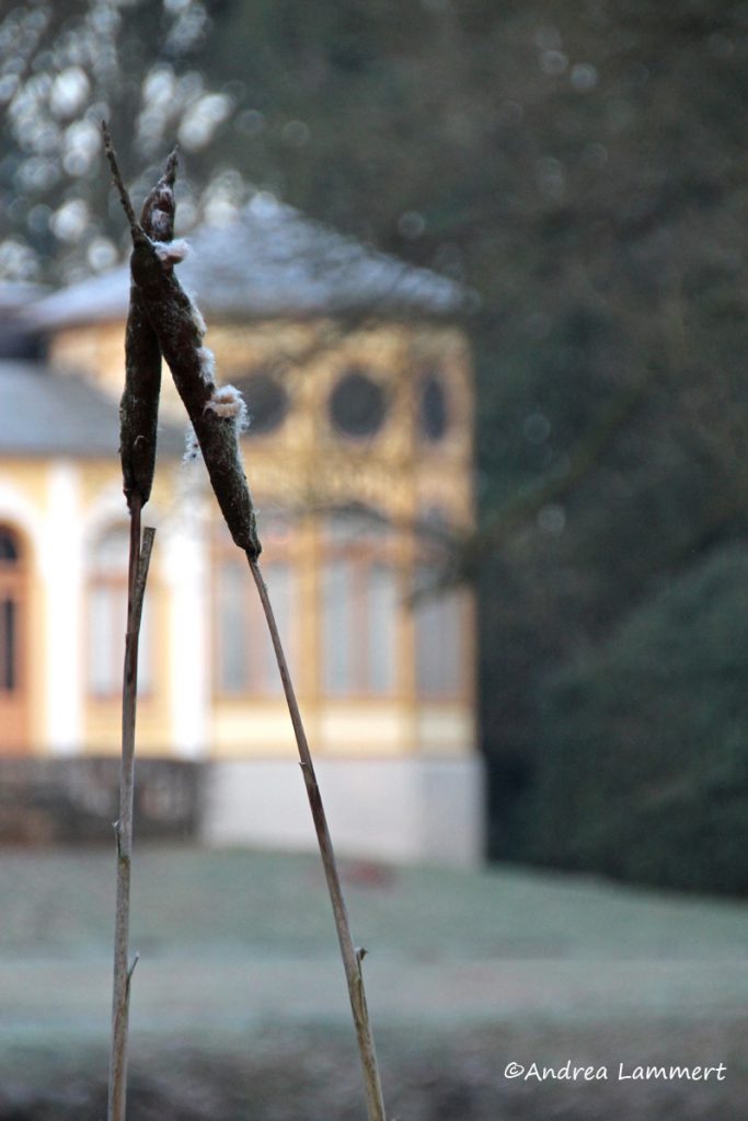 Breidings Garten in Soltau Ausflugstipp in der Lüneburger Heide