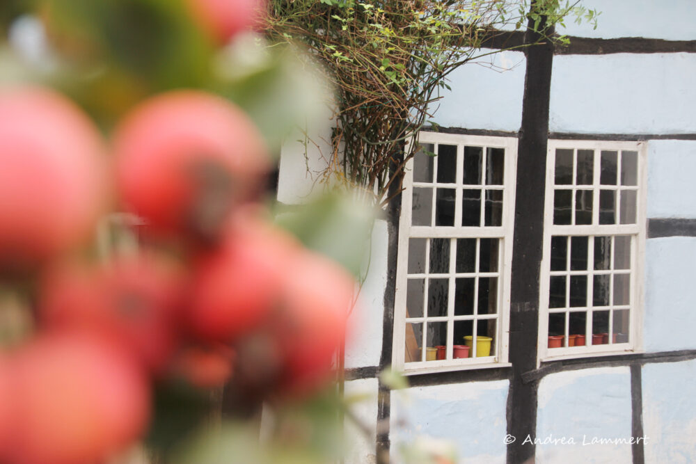 Besuch im Tecklenburger Land und an den Dörenther Klippen Tecklenburger_Land_Tecklenburg_Tipps, Sehenswürdigkeiten Tecklenburg