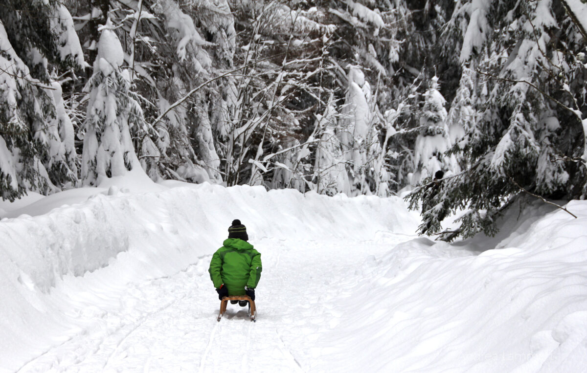 Harz, Rodeln, Oderteich, Winterwandern, Winter im Harz, Hühnerbrühe, Rodelbahn