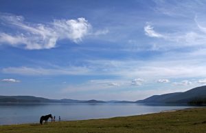 Mongolei, Lake Hovsgol, Hovsgol See, Umweltschaftz, Taiga, Möron