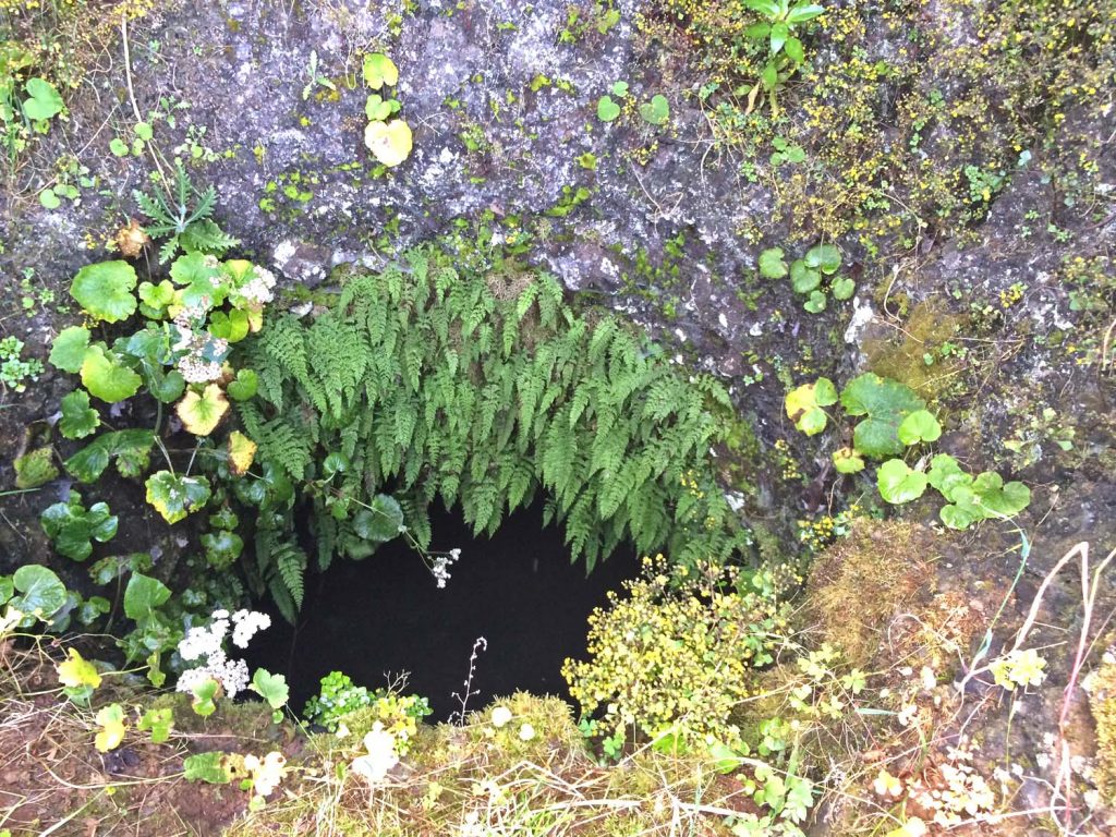 El Hierro, Regenbaum, Garoe