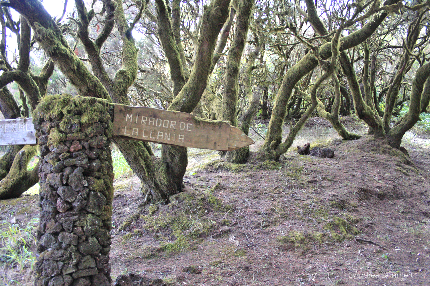 El Hierro, Wandern, kanarische Inseln, Magische Plätze auf El Hierro, Weg nach La Llania