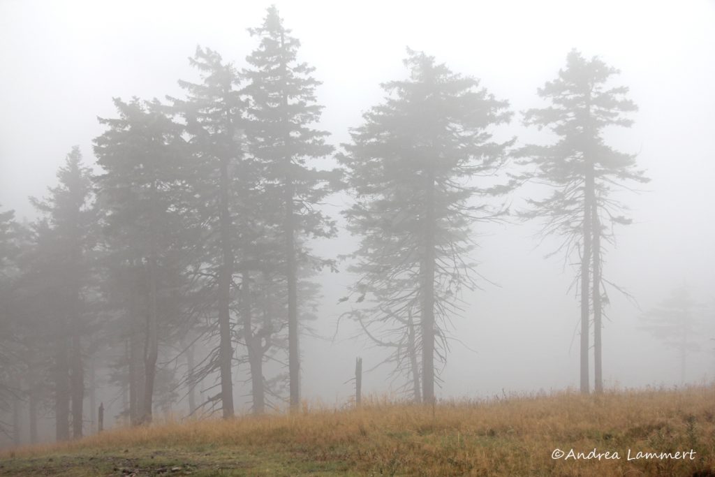 Braunlage, Wurmberg, Seilbahn zum Wurmberg