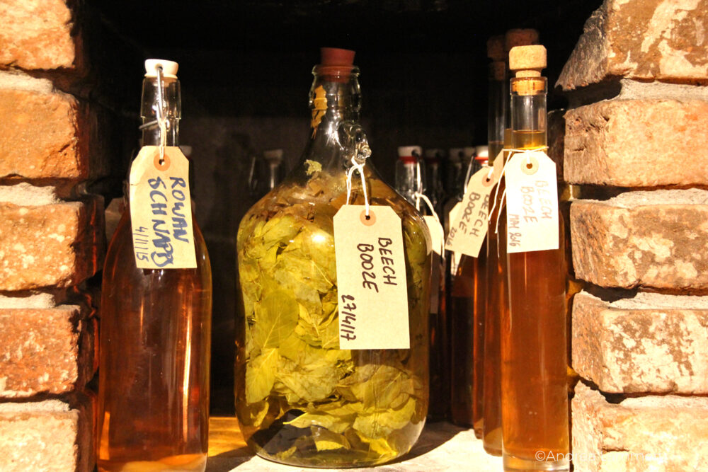 Brook Lodge, Macreddin Village, Irland, Strawberry Tree