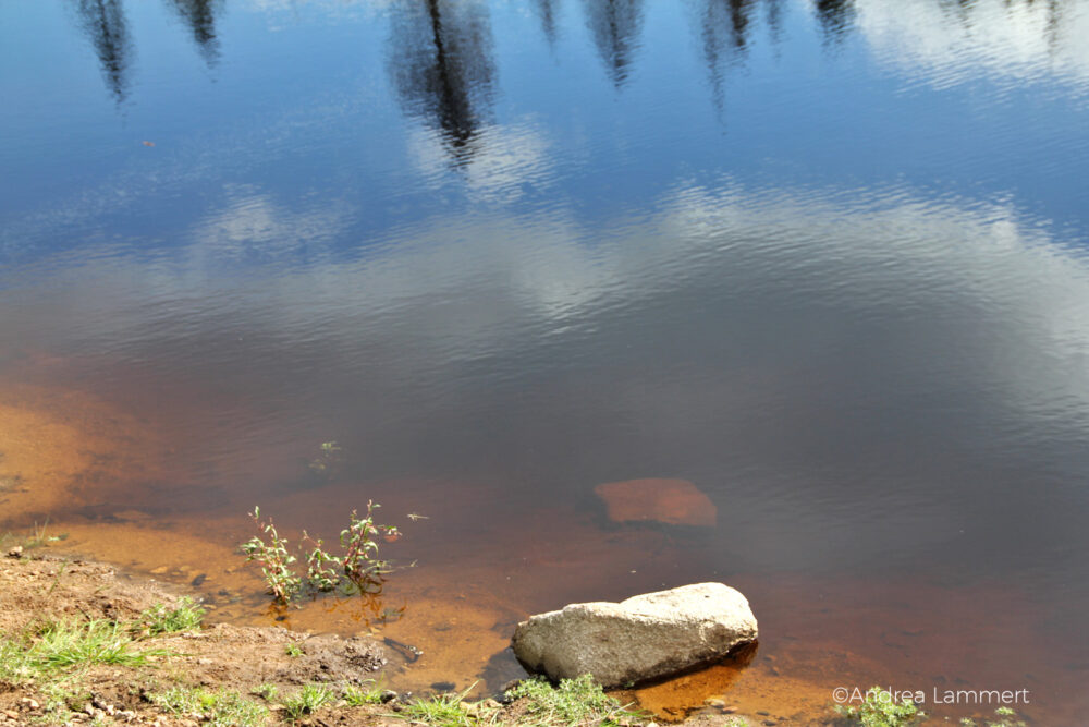 Harz, Oderteich, Niedersachsen