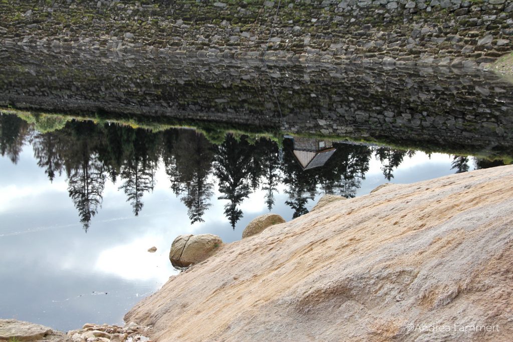 Harz, Oderteich, Niedersachsen