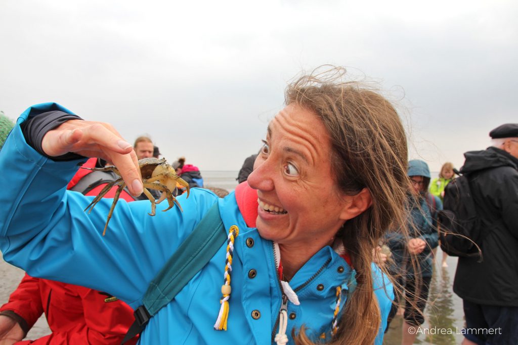 Juist, Wattwanderung mit Heino,