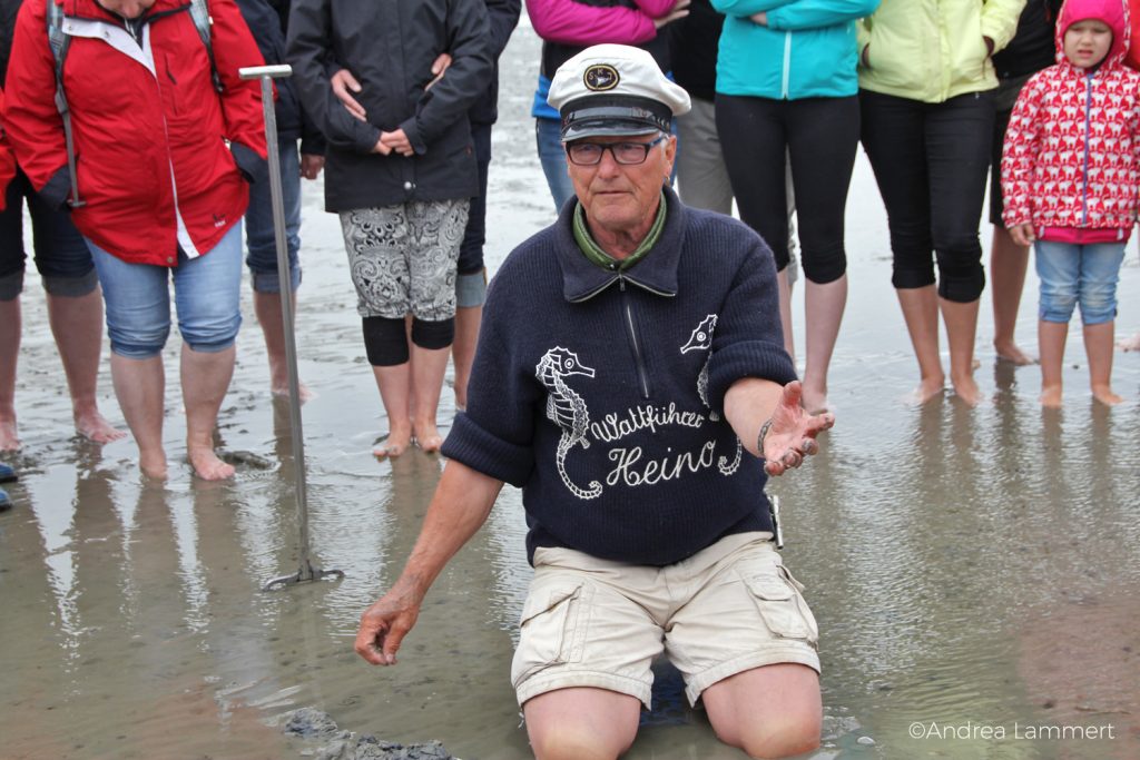 Juist, Wattwanderung mit Heino,