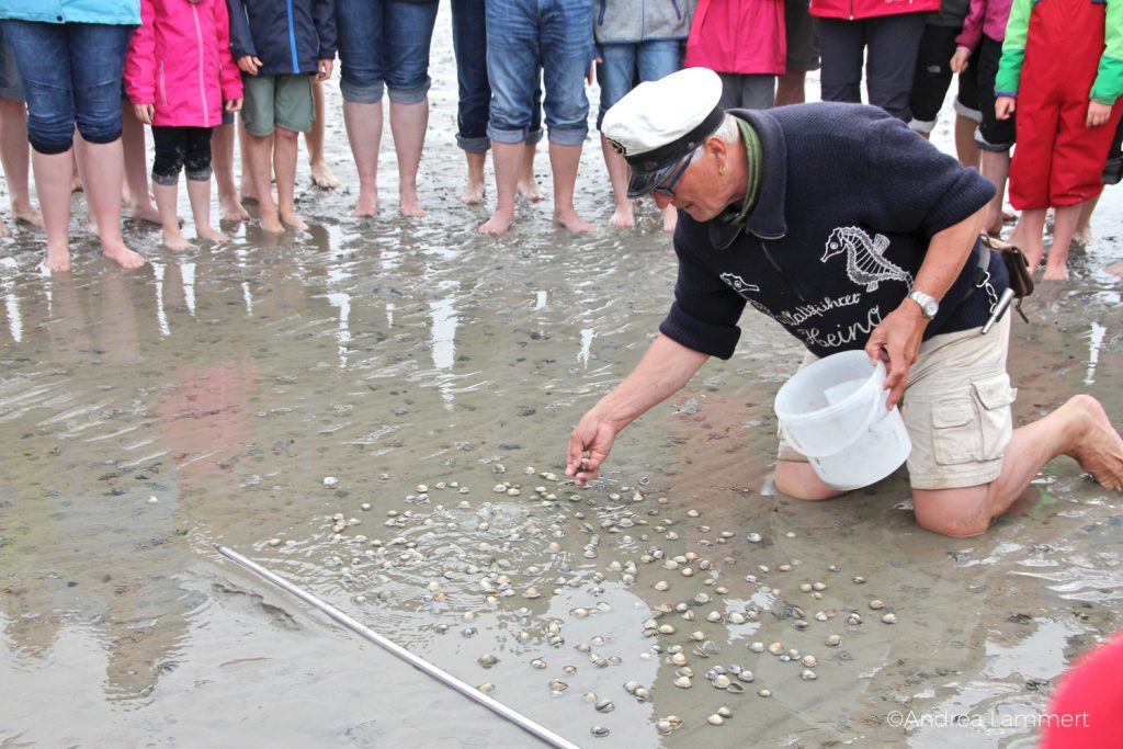 Juist, Wattwanderung mit Heino,