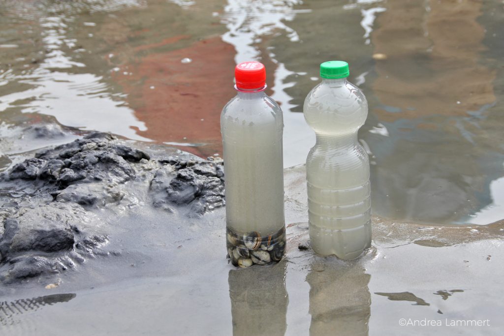 Juist, Wattwanderung mit Heino,