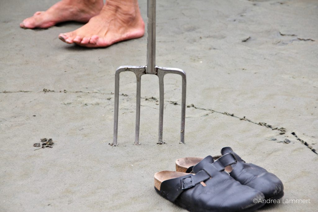 Juist, Wattwanderung mit Heino,