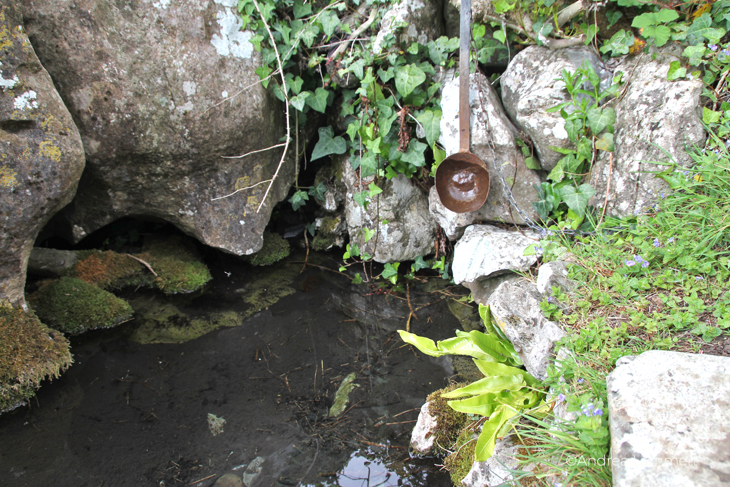 St. Ciaran's Well, Kells, Irland, Castlekeeran, Feenbaum