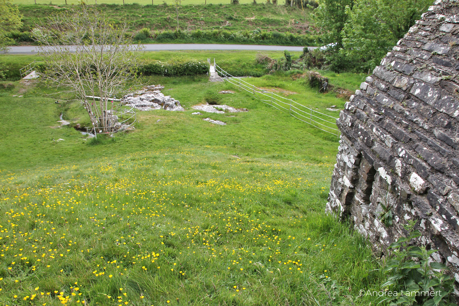 St. Ciaran's Well, Kells, Irland, Castlekeeran, Feenbaum