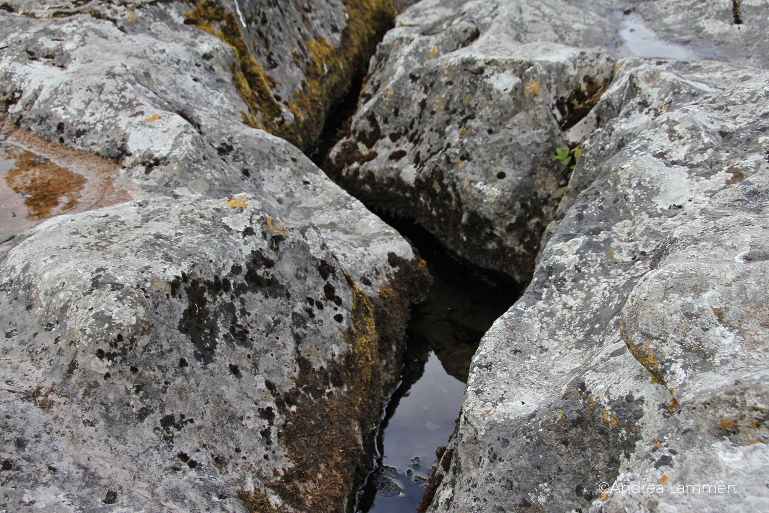 St. Ciaran's Well, Kells, Irland, Castlekeeran, Stein zum Liegen