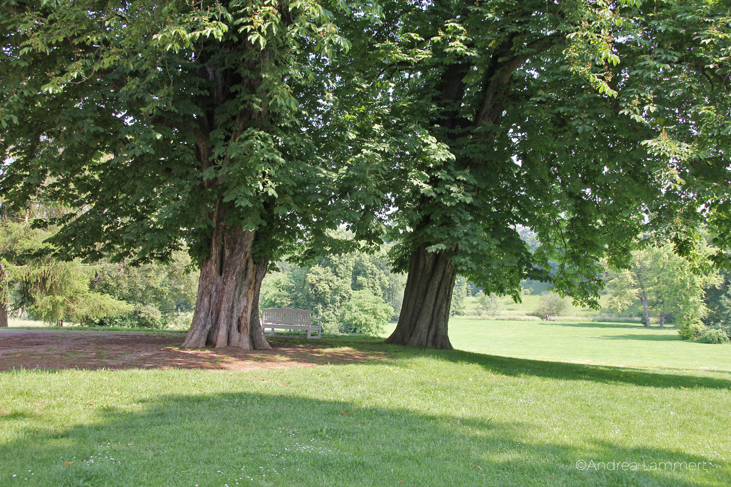 Weimar, Schloss Tierfurt, Park