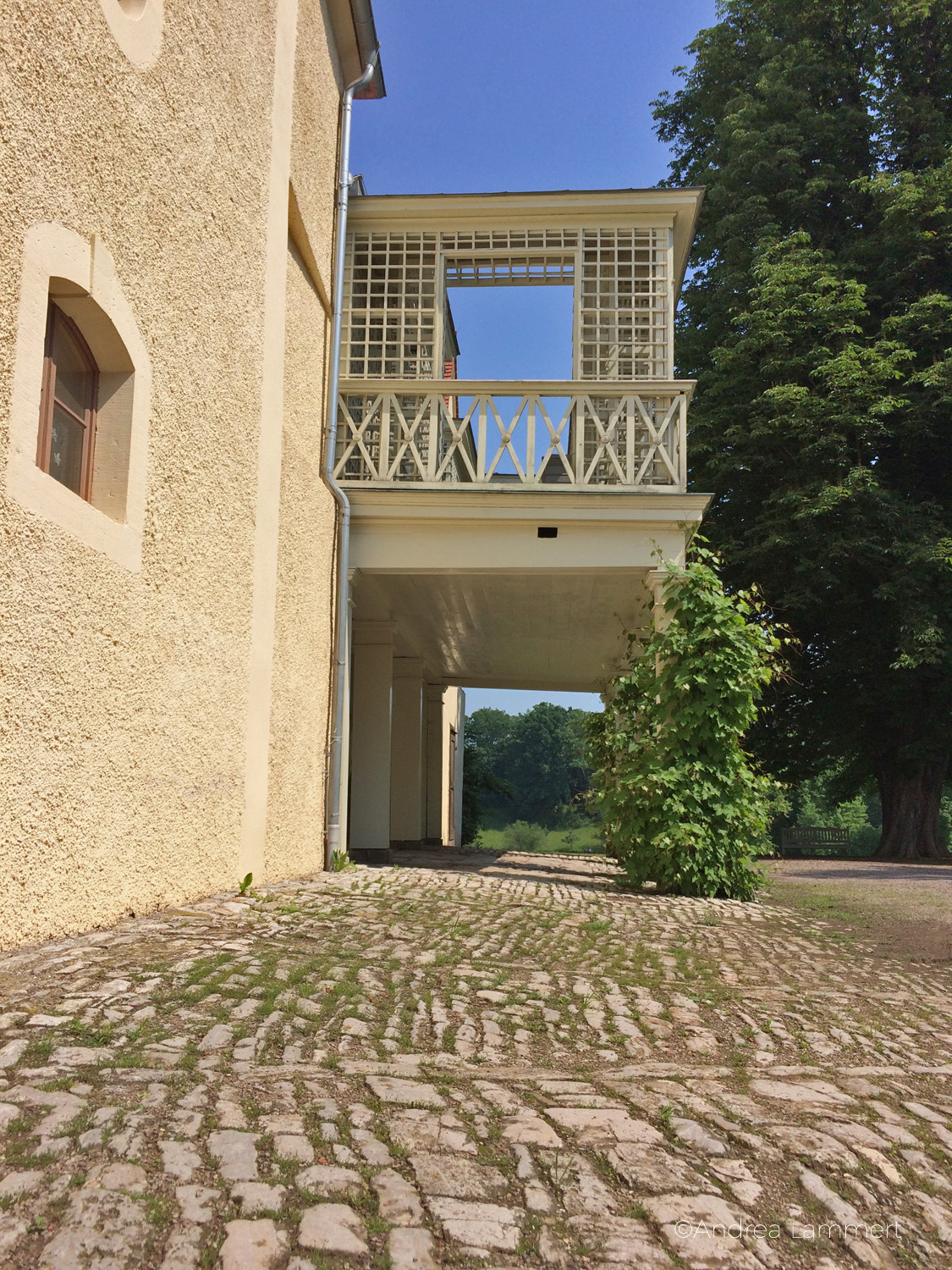 Weimar, Schloss Tierfurt, Park