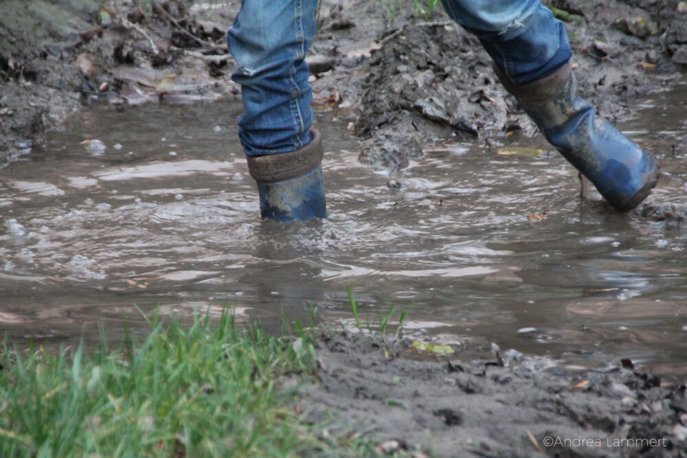 Ideen für Regenwetter