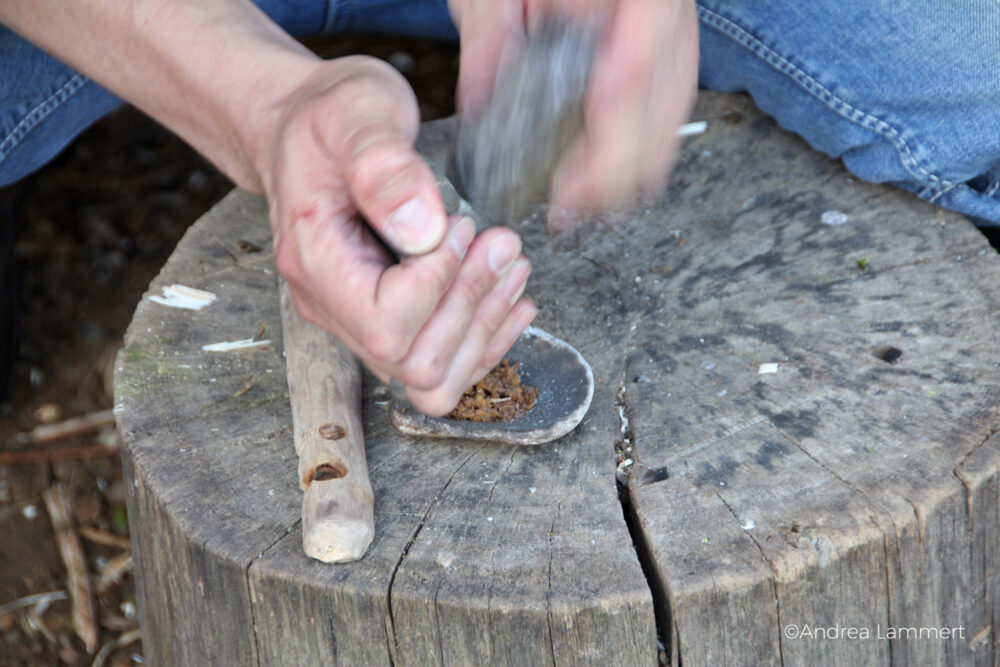 Albersdorf: Steinzeitdorf in Dithmarschen, Feuermachen mit Beifusstängel und Pappelholz