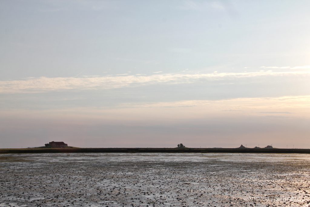 Nordstrandischmoor, Hallig, Nordsee, Wattenmeer, Wattwanderung