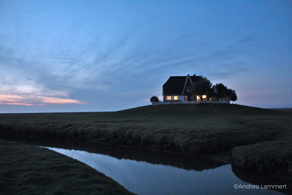 Nordstrandischmoor: Leben auf der Hallig Nordstrandischmoor, Hallig, Nordsee, Wattenmeer, Wattwanderung