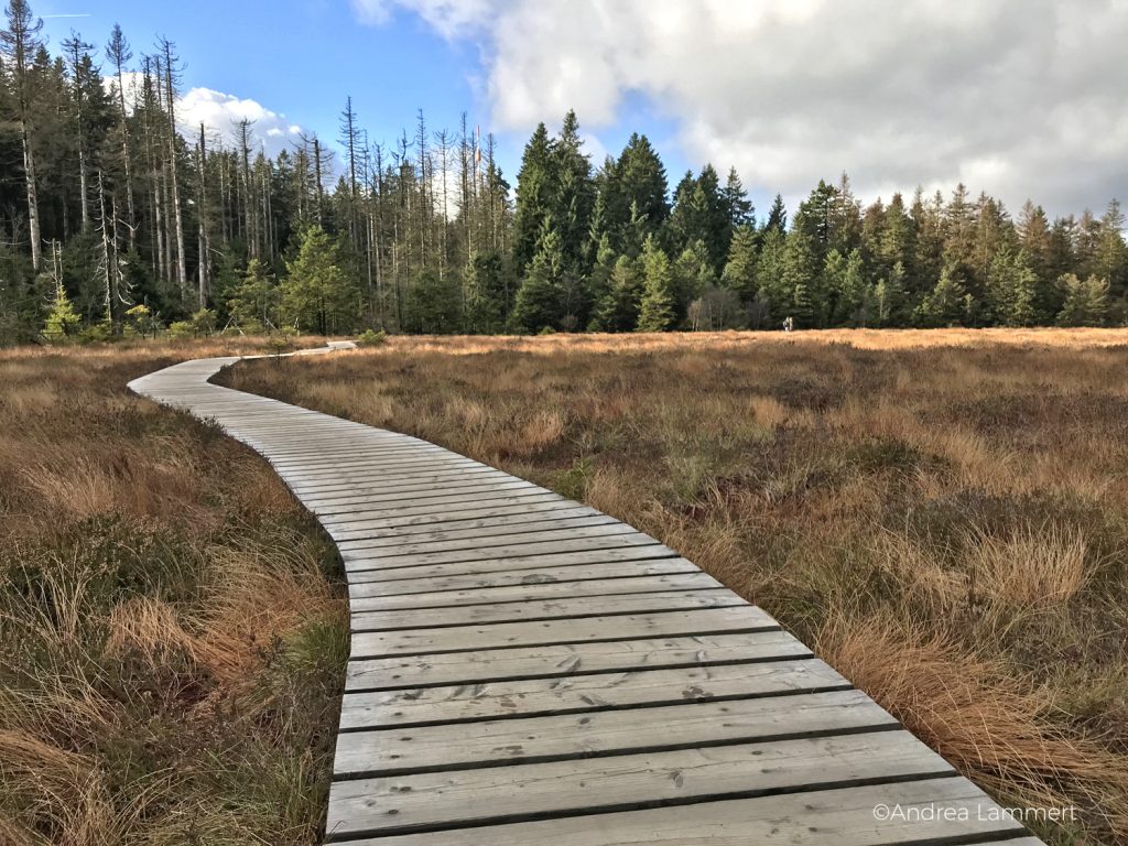Harz, Brockenwanderung, Goetheweg, Torfhaus-Brocken