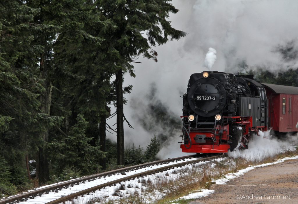 Harz, Brockenwanderung, Goetheweg, Torfhaus-Brocken