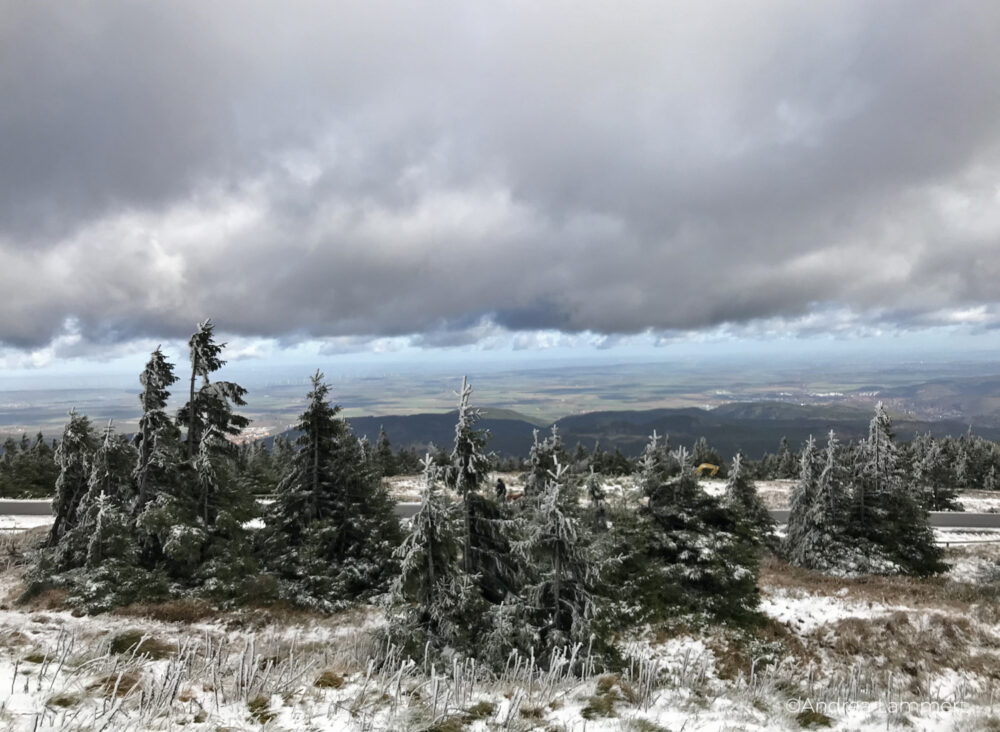 Harz, Brockenwanderung, Goetheweg, Torfhaus-Brocken