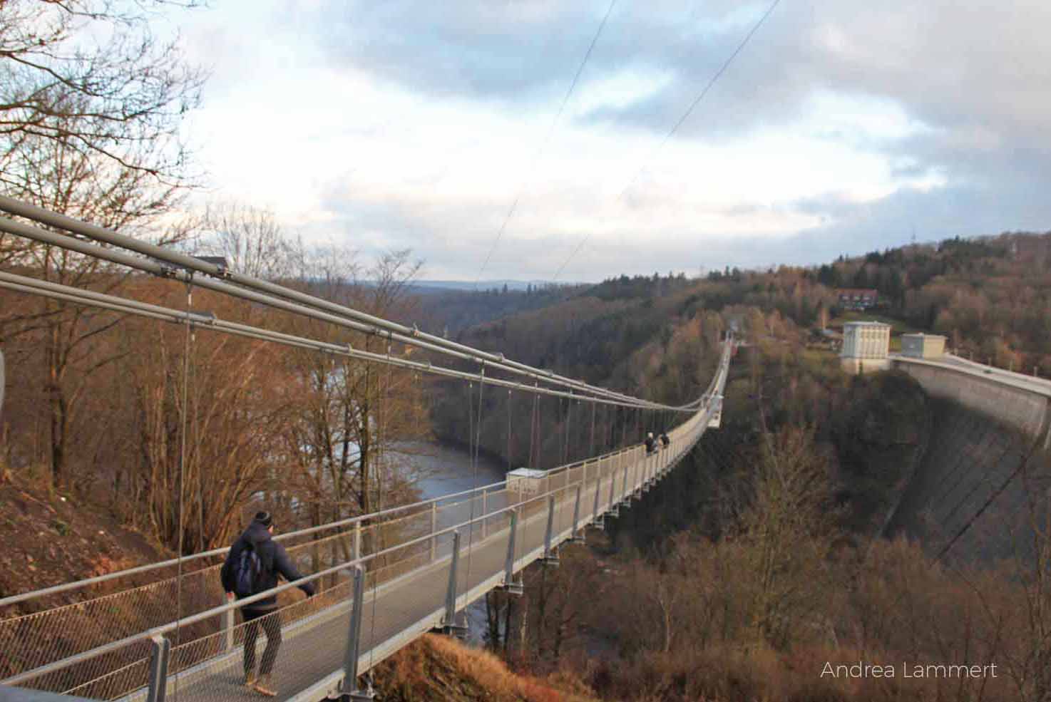 Rappbodetal: Hängebrücke bei der Rappbodetalsperre im Harz