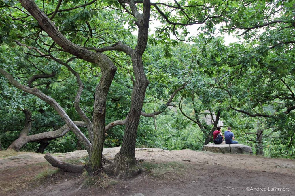 Unglaubliche Orte im Harz, Thale, Hexentanzplatz