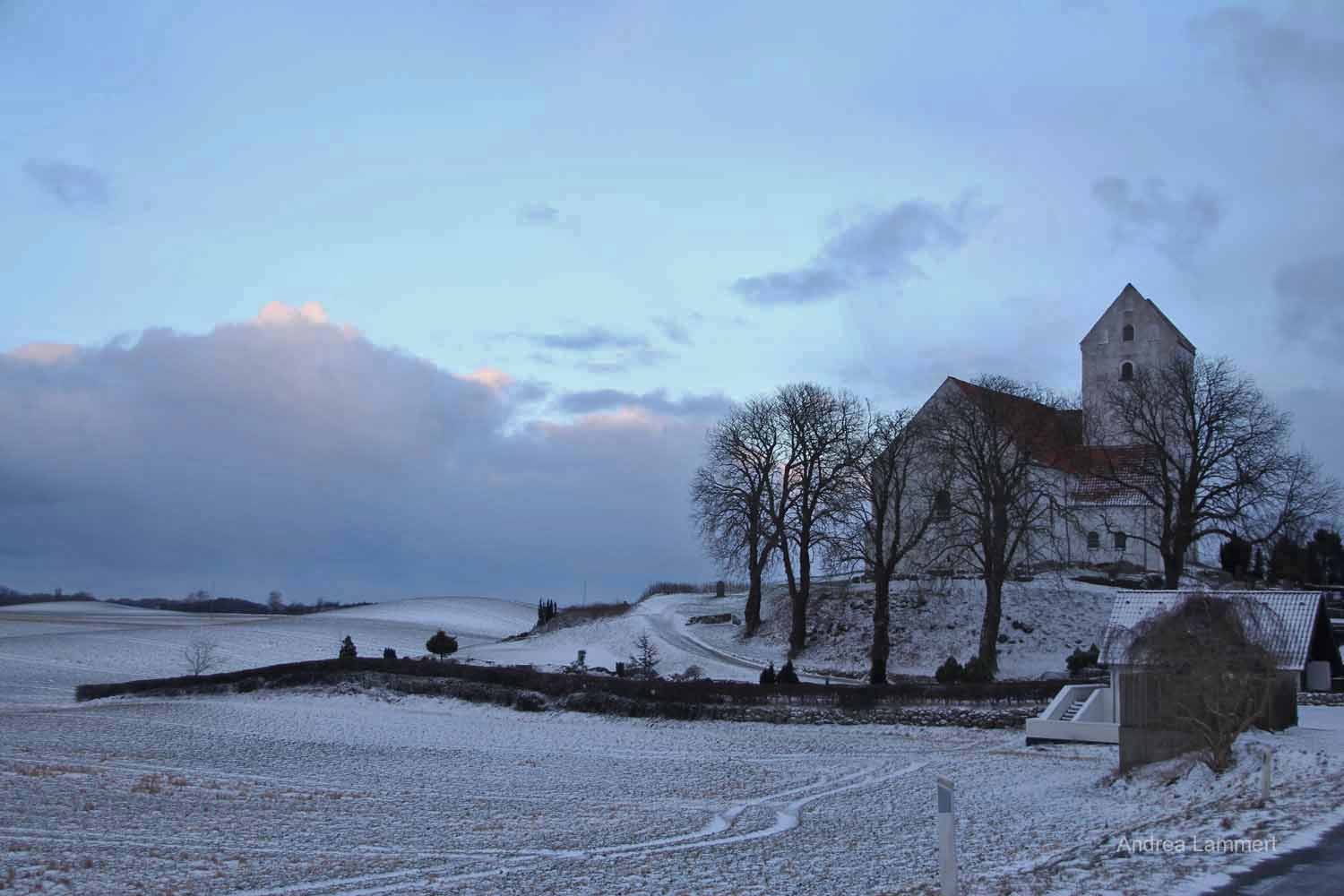 Rieslinge, Dänemark im Winter
