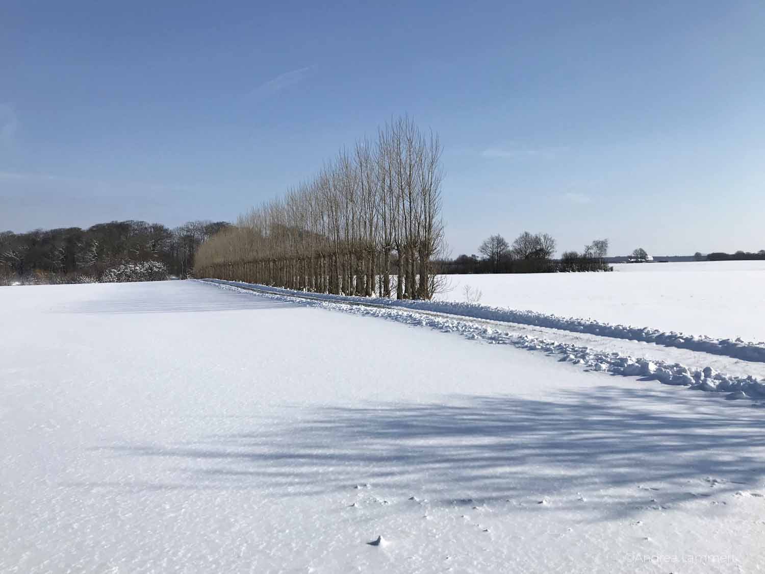 Dänemark, Lolland im Winter, Demeter-Bauernhof Knuthenlund