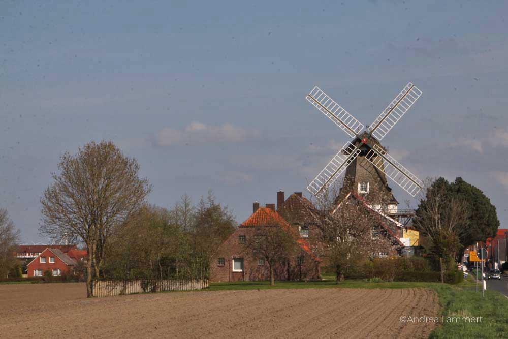 Wangerland, Carolonensiel, Nordseeküste