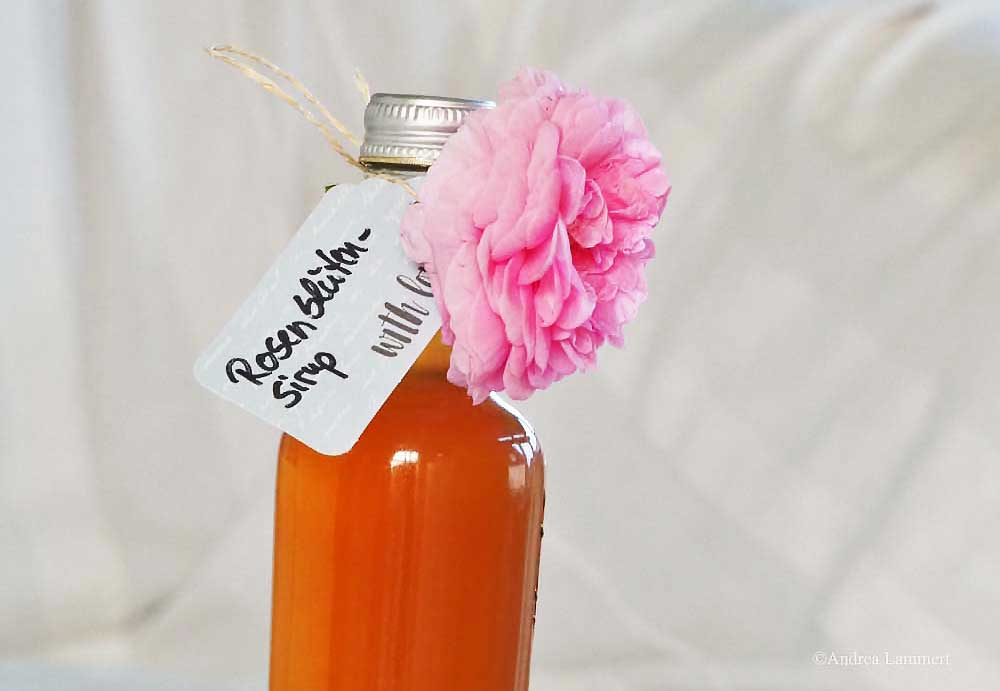 Rosenblütensirup selbst gemacht, Rezept für Rosenblütensirup, daraus kann man Rosenlimonade selber machen