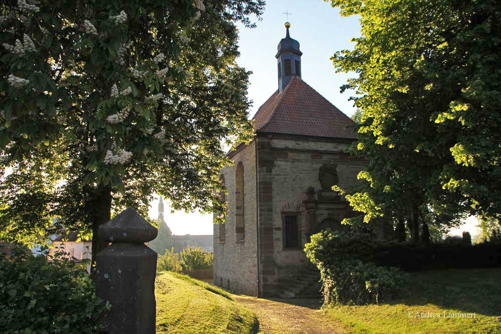 Im Dreiländereck zwischen Niedersachsen, Hessen und NRW liegt Warburg mit seinen 23 000 Einwohnern. Erstmals urkundlich erwähnt wurde der Ort 1010, Kennzeichen war die Burg auf dem Wartberg. Hier Erasmuskapelle