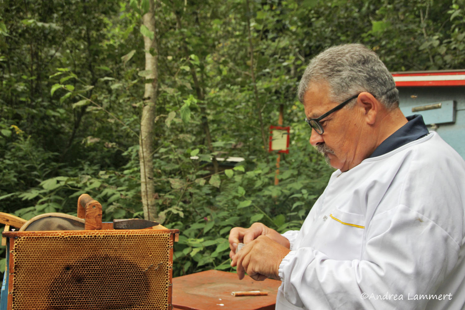 Kärnten, Imker, Bienen im Gailtal, Honig aus Kärnten, Imker Slow Food Kärnten