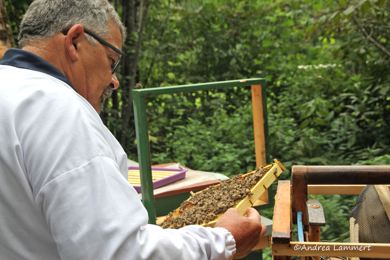 Kärnten, Imker, Bienen im Gailtal, Honig aus Kärnten, Imker Slow Food Kärnten