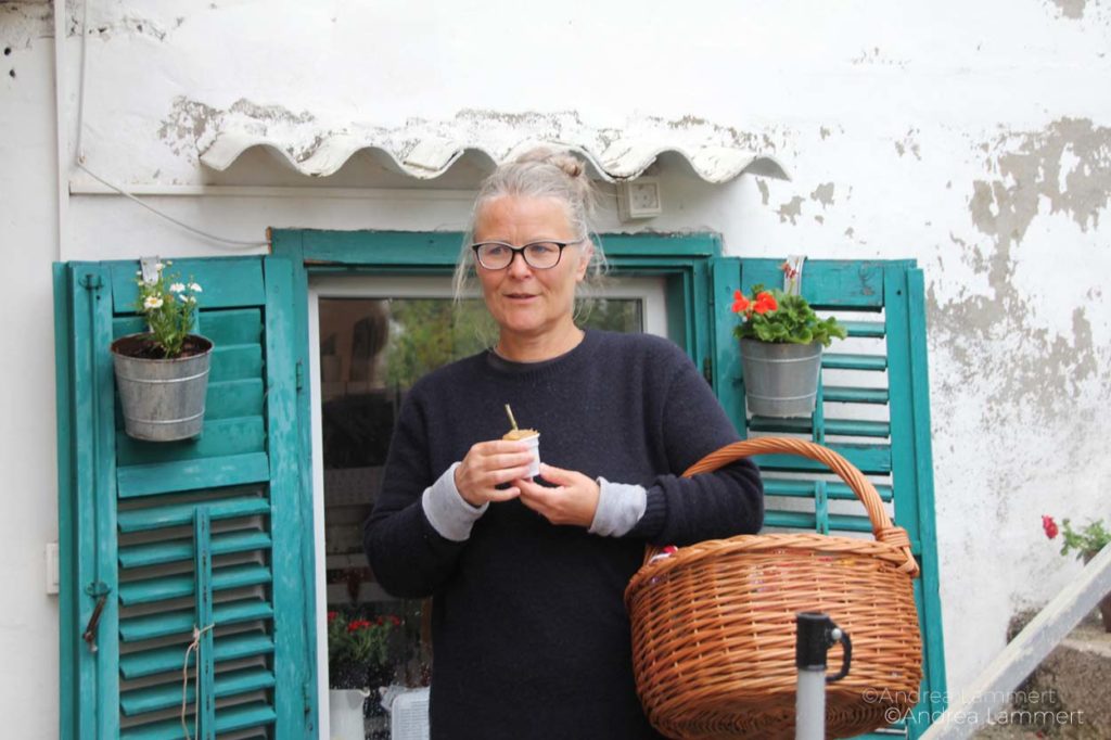 Inselhüpfen in Kroatien, Rad und Schiff in Istrien, von Krk, Cres, Rabac, Grosnjan,