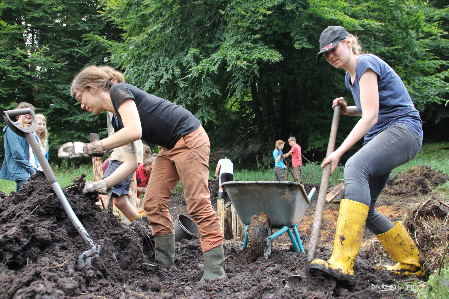 Rügen; Bergwaldprojekt: Klimaschutz auf Rügen, dazu werden die Moore wieder vernässt, eine Arbeit mit vielen Freiwilligen, Volounteering auf Rügen