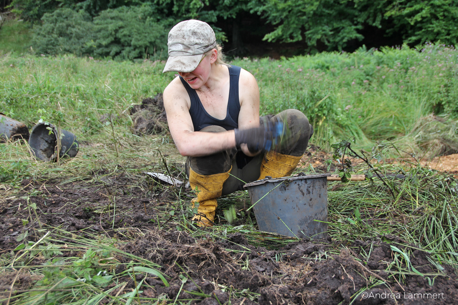 Rügen; Bergwaldprojekt: Klimaschutz auf Rügen, dazu werden die Moore wieder vernässt, eine Arbeit mit vielen Freiwilligen, Volounteering auf Rügen