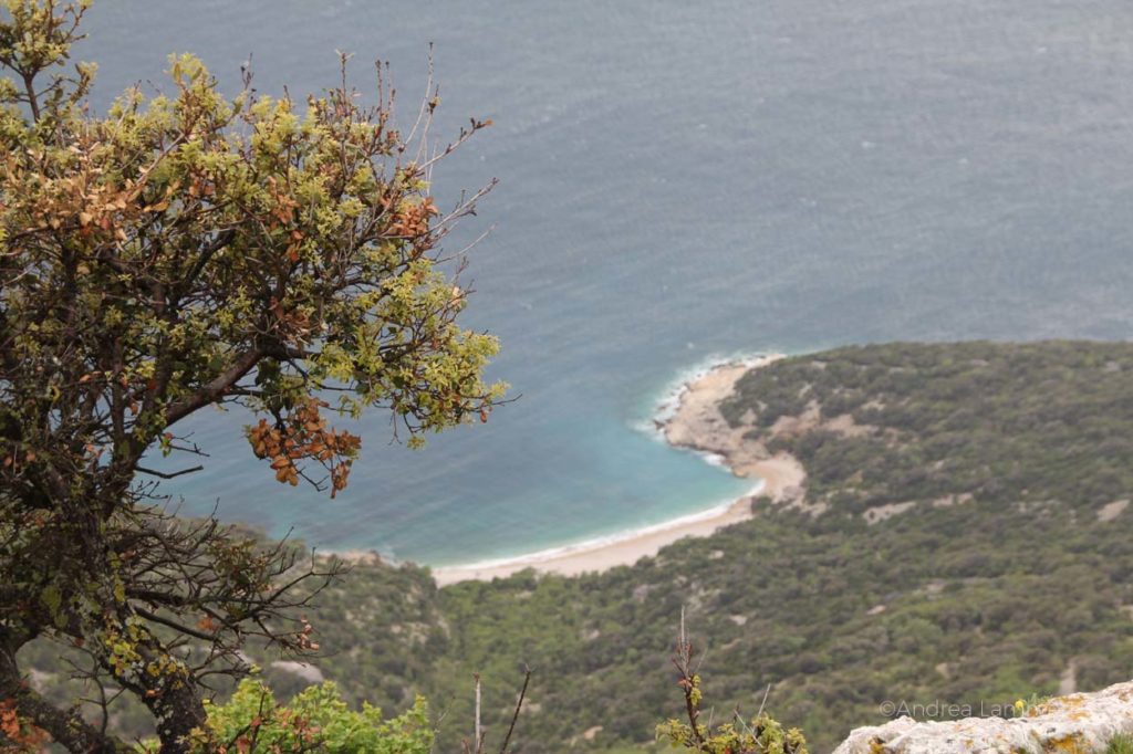 Inselhüpfen in Kroatien, Rad und Schiff in Istrien, von Krk, Cres, Rabac, Grosnjan,