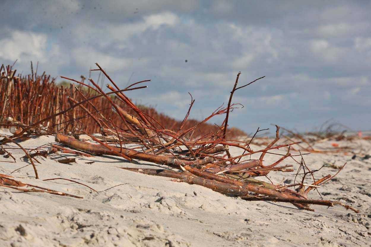 Amrum Mit Dem Fahrrad Umrunden