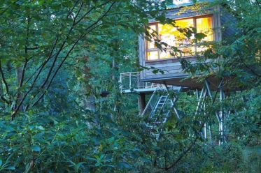 Schlafen im Baumhaus-Hotel Baumgeflüster Bad Zwischenahn ist ein Erlebnis, die Häuser befinden sich in den Bäumen, das Resort ist ein Geheimtipp in Niedersachsen.