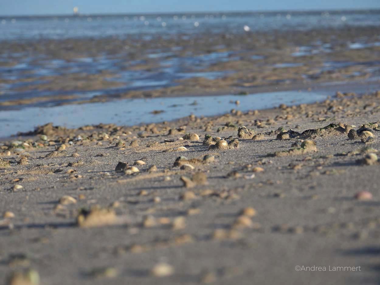 Strand bei Schillig, ganz schön viel Sand. Nordseeküste Niedersachsen